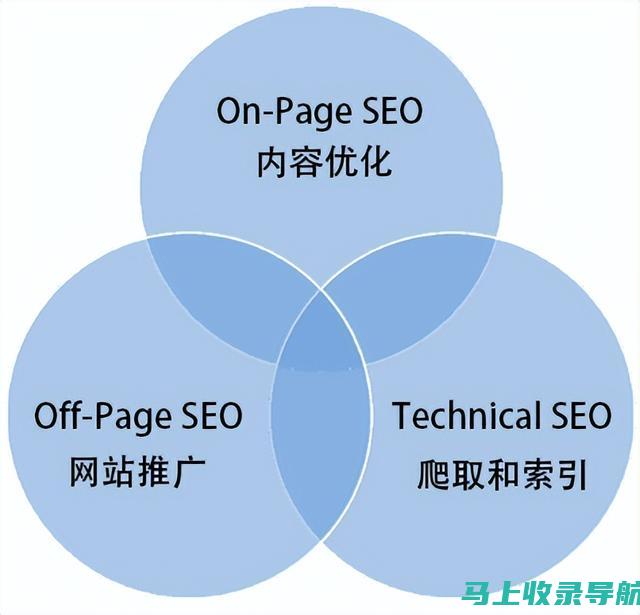 SEO新手成长之路：搜索引擎优化入门教程及实战经验分享